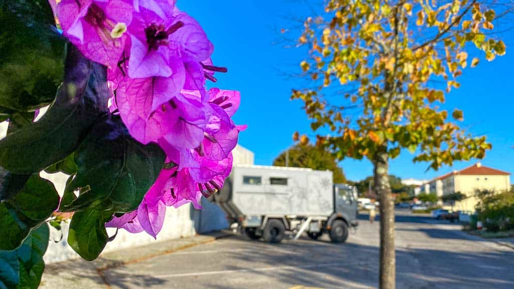 Stellplatz mit Blütenpracht