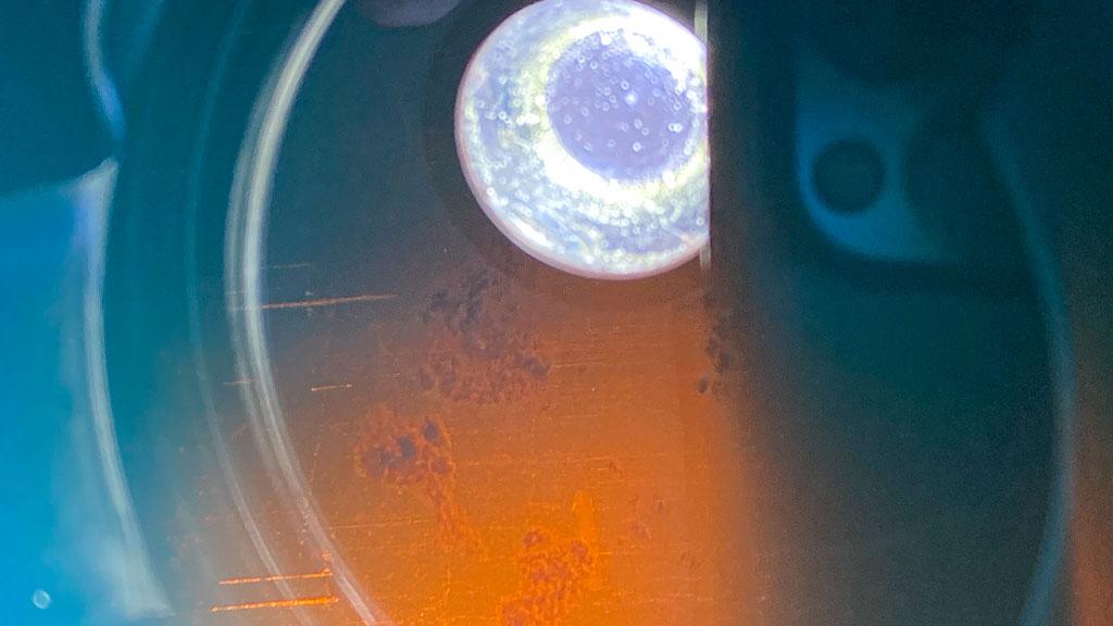 Ein Blick in den Dieseltank