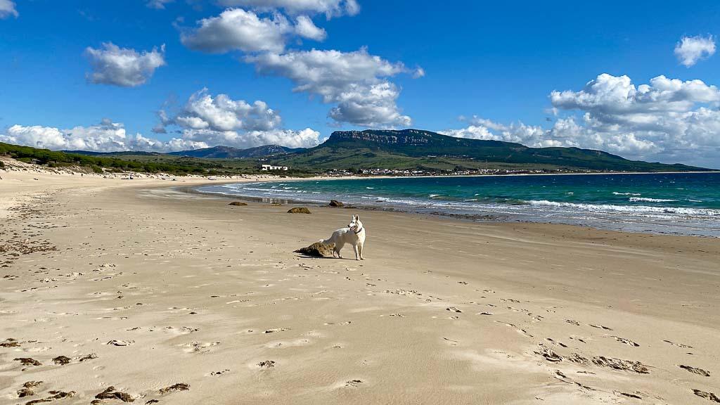 Tarifa und Meer treffen auf Luna