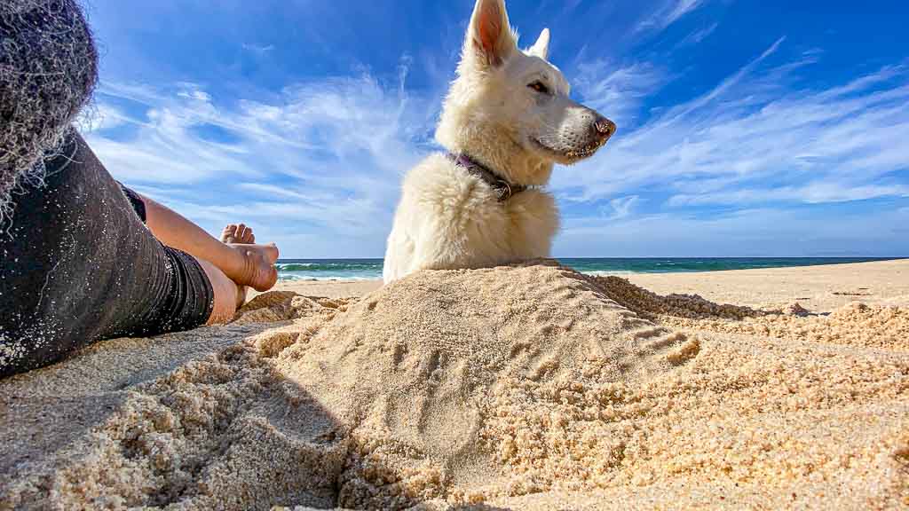 Luna am Strand und im Sand