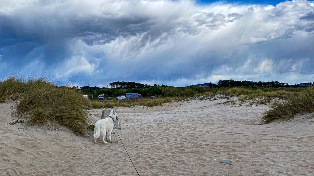 Ein Tag am Hundestrand Ramalha