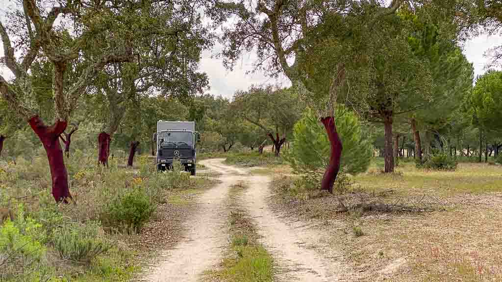In der Nähe von Montargil mitten im Wald