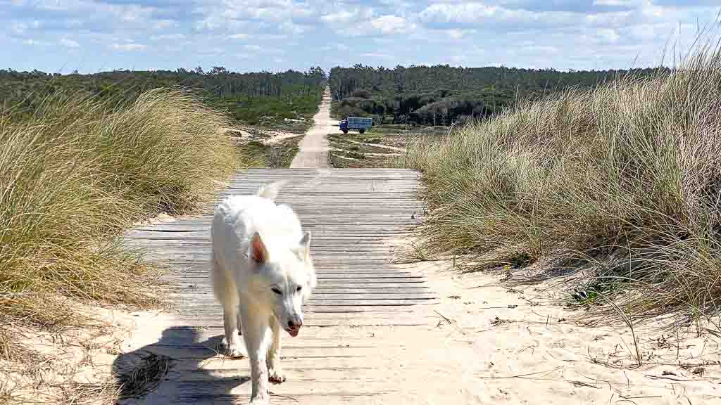 Einsamer Stellplatz direkt am Strand hinter den Dünen