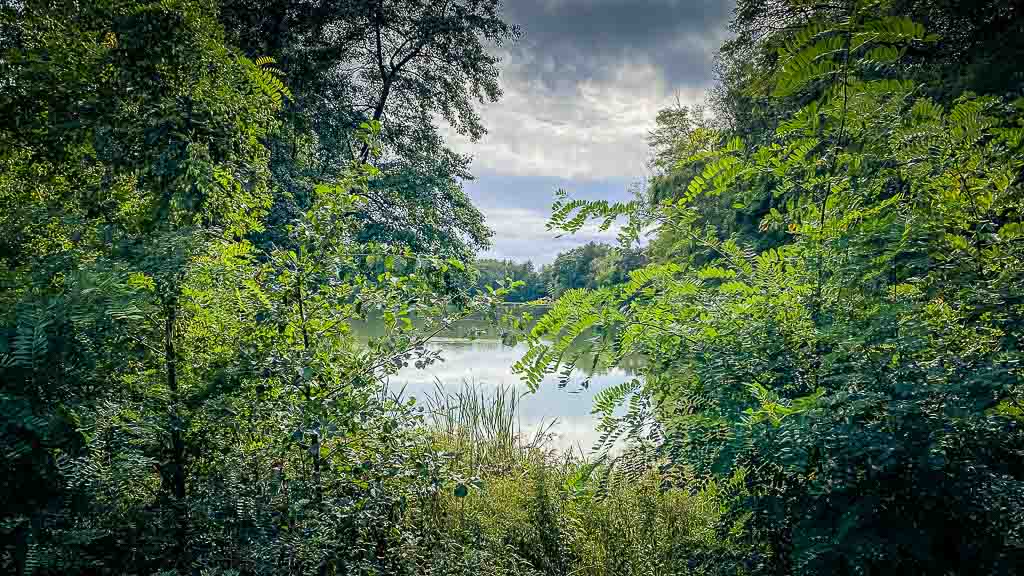 Der erste Eindruck in Ungarn Grün am See
