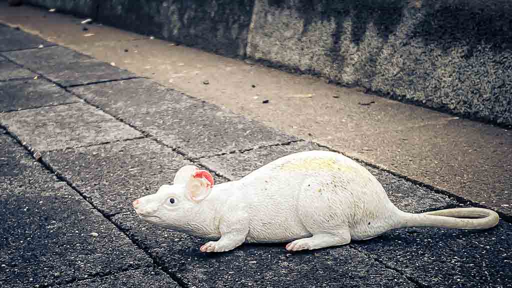 Auf dem Parkplatz des Supermarktes in Ungarn