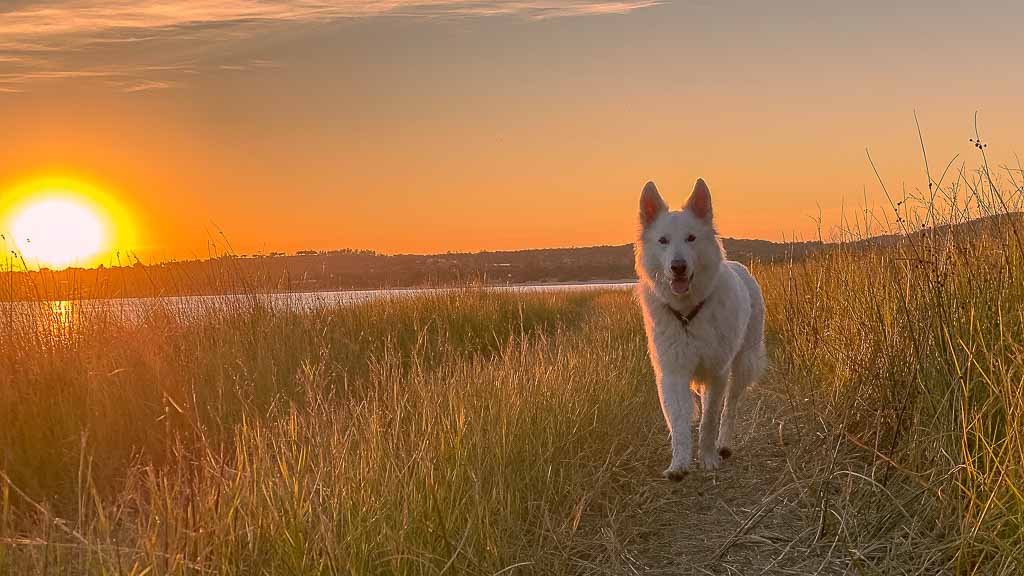 Als Vanlifer am Lieblingssee