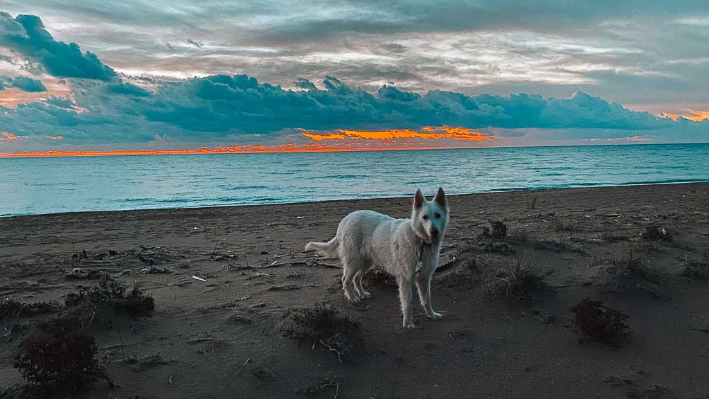 2022-12-23 17-51-18-1024