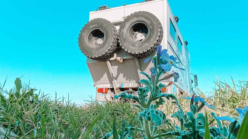 2023-01-06 14-45-57-1024 Black Pearl mit Blume