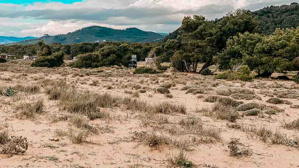 2023-01-16 15-03-24-1024