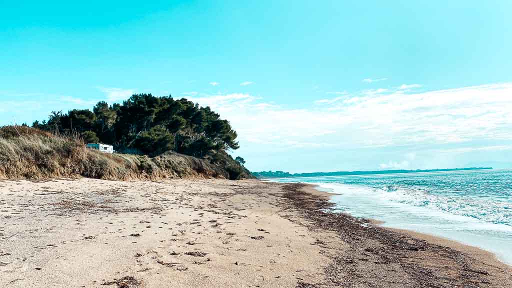 2023-01-31 14-18-44-1024