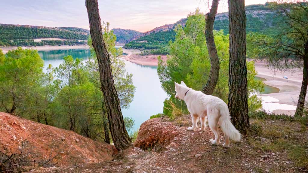 Stausee südlich von Saragossa