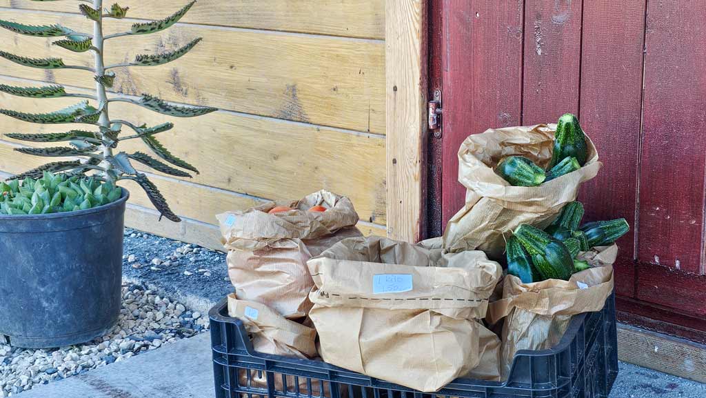 Area Camper La Ermita Einkaufsladen 4