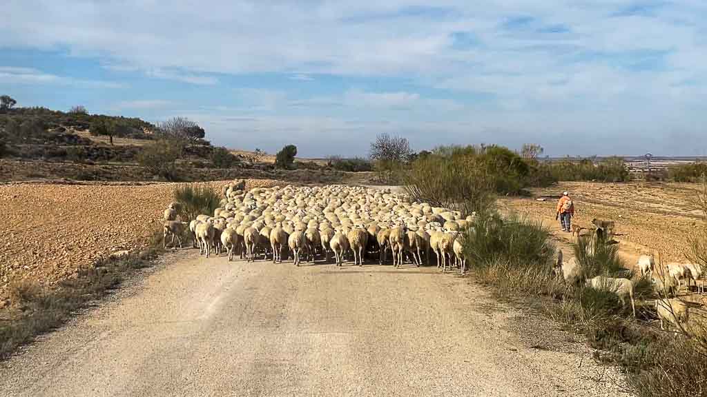 52 Grad nördliche Breite allzeit-bereift.de