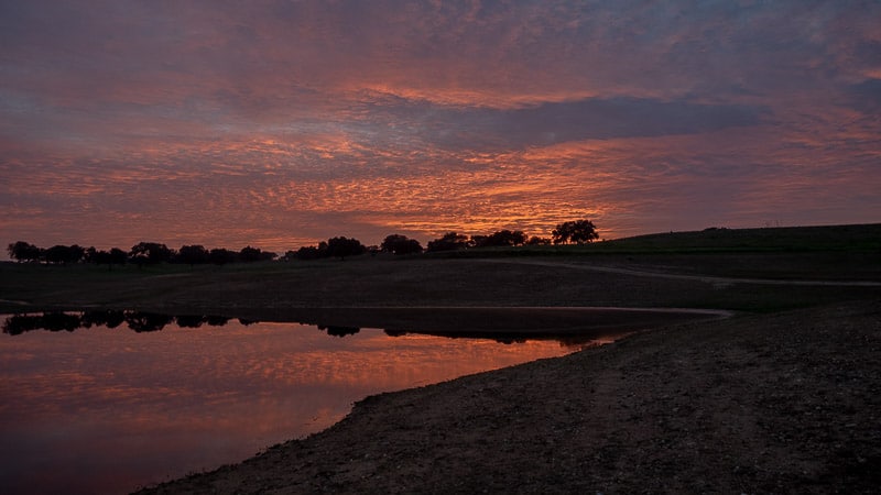 Hin und wieder zurück – Die Flucht aus der Algarve